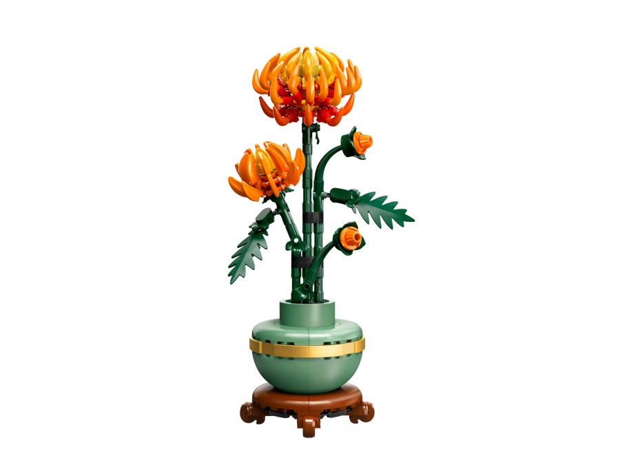 Chrysanthemum [PREORDER]
