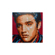 Elvis Presley “The King”